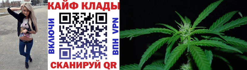 Где купить Корсаков АМФ  Каннабис  APVP 