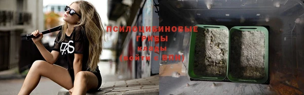 ПСИЛОЦИБИНОВЫЕ ГРИБЫ Белокуриха